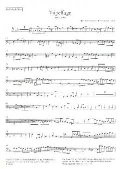 2 Fugen aus 'Die Kunst der Fuge' BWV 1080 