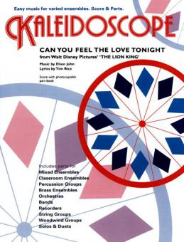 Can You Feel The Love Tonight 