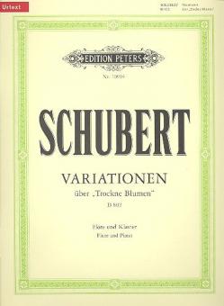Variationen e-Moll op. post. 160 D 802 