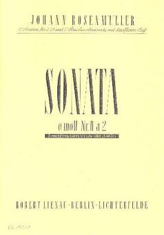 Sonata 2 e-Moll a 2 