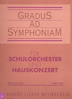 Gradus ad Symphoniam Mittelstufe 1 