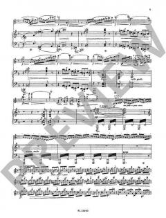 Violin-Konzert d-Moll op. 47 von Jean Sibelius im Alle Noten Shop kaufen