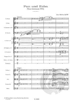 Pan und Echo op. 53a von Jean Sibelius 