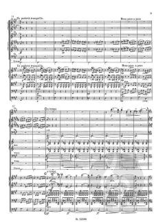 Pan und Echo op. 53a von Jean Sibelius 