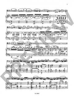 Andante e Rondo Ungarese op. 35 (Carl Maria von Weber) 