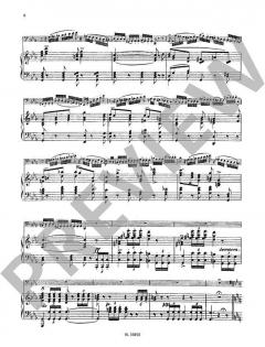 Andante e Rondo Ungarese op. 35 (Carl Maria von Weber) 