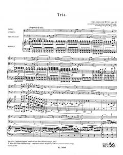 Trio g-Moll op. 63 (Carl Maria von Weber) 