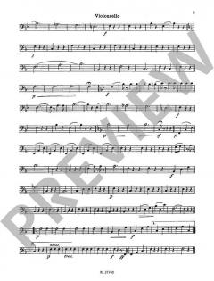 Strauß für die Jugend Band 3 