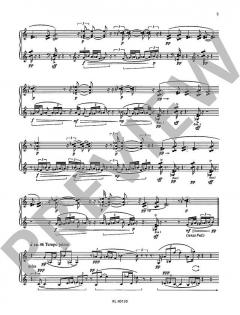 Kleinwelt von Werner Heider 