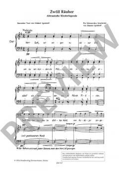 Die zwölf Räuber 
