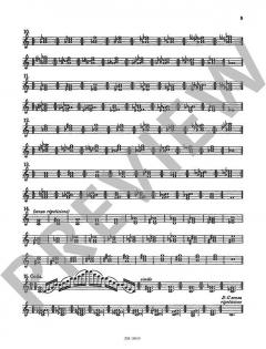 Das ”Non plus ultra“ des Flötisten op. 34 von Leonardo de Lorenzo 