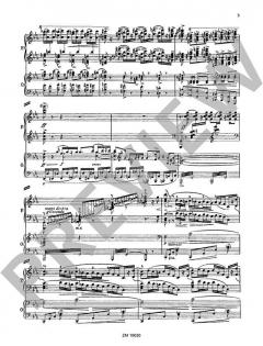 Zweites Klavierkonzert c-Moll op. 50 von Nikolai Medtner für 2 Klaviere im Alle Noten Shop kaufen