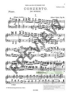 Concerto c-Moll op. 35 von Albert Zabel 