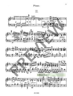 Concerto c-Moll op. 35 von Albert Zabel 