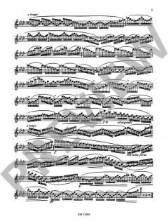 30 Virtuosen-Etüden op. 75 Heft 2 von Ernesto Köhler 