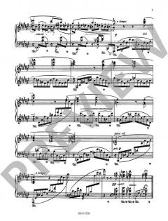 12 Etüden in fortschreitender Schwierigkeit op. 11 von Sergey Mikhaylovich Lyapunov 