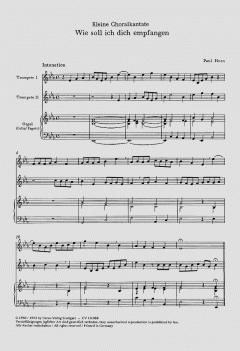 Wie soll ich dich empfangen (Paul Horn) 