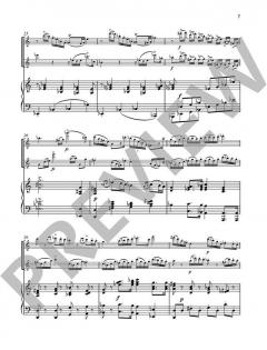 Sonate op. 25 von Árpád Doppler 