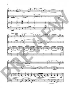 Sonate op. 25 von Árpád Doppler 