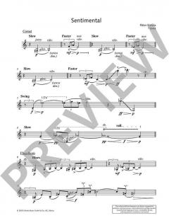 Sentimental von Péter Eötvös 