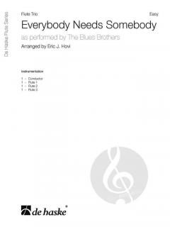 Everybody Needs Somebody von The Blues Brothers 