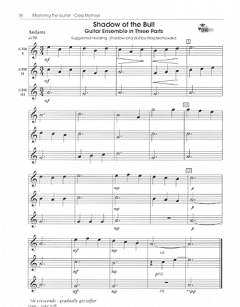 Mastering The Guitar von Mike Christiansen 