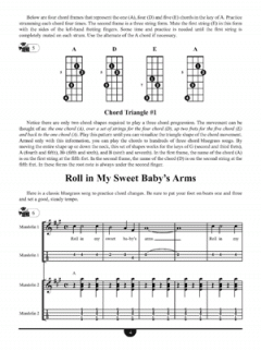 School of Mandolin von Joe Carr im Alle Noten Shop kaufen