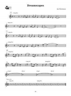 Plugging In Extended Techniques 21St Century von Joe Deninzon 