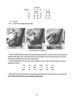 Traditional & Country Autoharp Picking Styles von Meg Peterson 