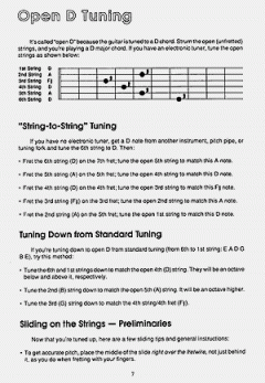 Learn To Play Bottleneck Guitar von Fred Sokolow 