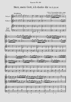 Herr, mein Gott, ich danke dir (Johann Rosenmüller) 