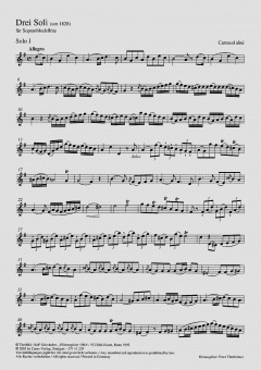 Drei Soli für Sopranblockflöte (um 1828) 
