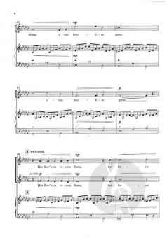 When music sounds von John Rutter 