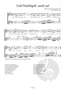 Der Geigen-Adventskalender für 2 Geigen 