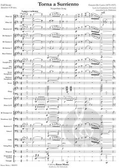 Torna a Surriento (tenor) von Ernesto de Curtis 