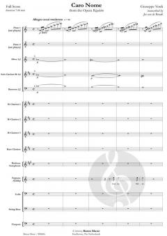 Caro nome von Giuseppe Verdi 