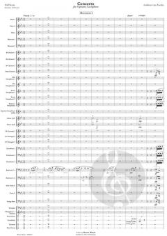 Concerto von Andreas van Zoelen 