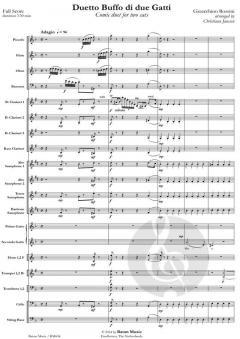 Duetto buffo di due gatti von Gioacchino Rossini 