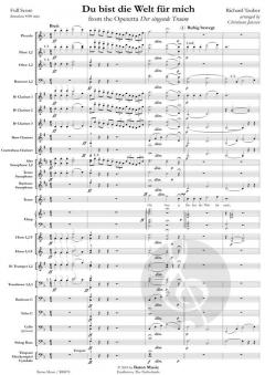 Du bist die Welt für mich von Richard Tauber 