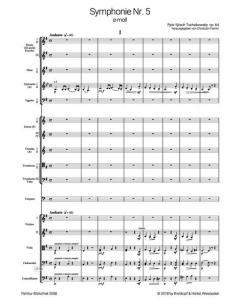 Symphonie Nr. 5 e-moll op. 64 von Peter Iljitsch Tschaikowsky 