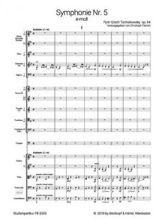 Symphonie Nr. 5 e-moll op. 64 von Peter Iljitsch Tschaikowsky 