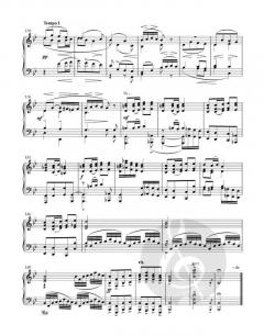 Ausgewählte Klavierwerke von Leo Eugen Janáček im Alle Noten Shop kaufen