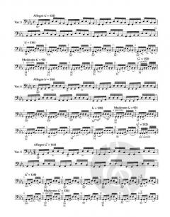 Schule der Bogentechnik op. 2 - Heft 3 und 4 von Otakar Ševčík 