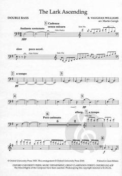 The Lark Ascending von Ralph Vaughan Williams 