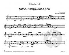 Weihnachtliche Blasmusik 