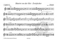 Bäurin von der Hoi - Zwiefacher 