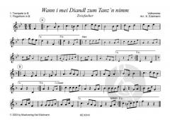 Wann i mei Deandl zum Tanzn nimm - Zwiefacher 