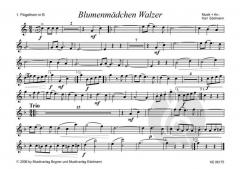 Blumenmädchen Walzer von Karl Edelmann 