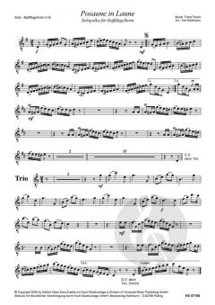 Posaune in Laune von Franz Posch 