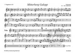 Mitterberg Galopp 